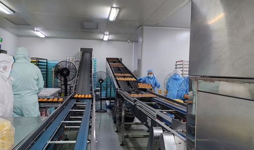 月餅賣不動(dòng)了 記者走訪上海代工廠 500種口味推陳出新,b端市場(chǎng)仍有潛力