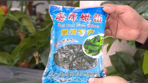 豪新食品市場(chǎng)動(dòng)態(tài) 專欄 鑫浪海洋食品 從霞浦來(lái)到晉江 推廣銷售海鮮干貨