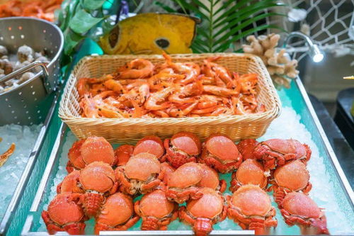 盛夏光年主題海鮮美食節 豪橫僅168元，暢享200+高品質料理